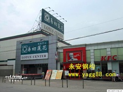 �׳���������